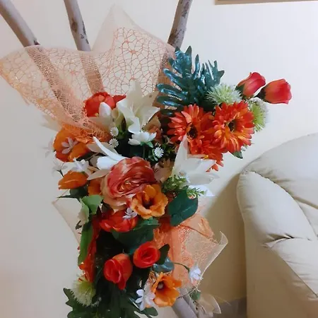 Apartament Fiori D'arancio *